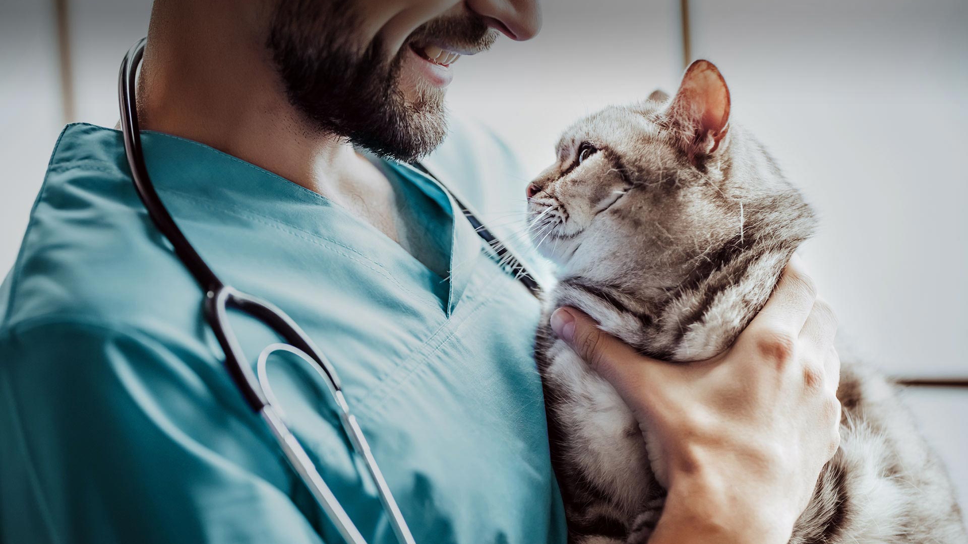 Köprüköy Veteriner